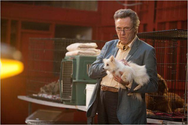 Cinéma : 7 Psychopathes (Seven Psychopats) 4