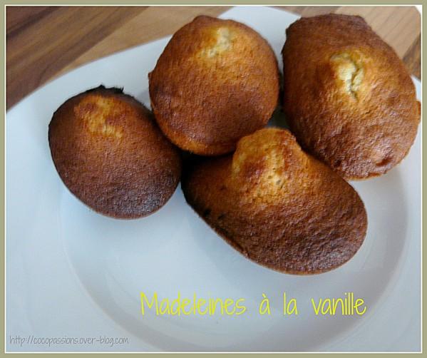 Madeleine à la vanille P1140845.jpg