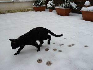 Billet d'humeur en ce dimanche enneigé et glacial P1050889