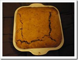 IMGP5299 (FILEminimizer) IMGP5299 (FILEminimizer)