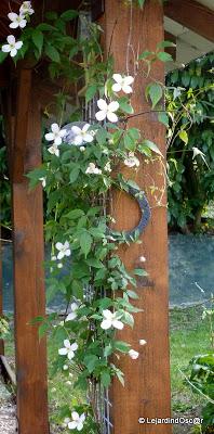 Rétro jardin 4/4... Rétro jardin 4/4...