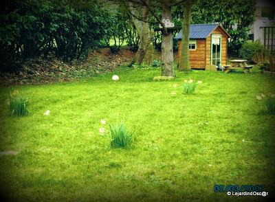 Rétro jardin 4/4... Rétro jardin 4/4...