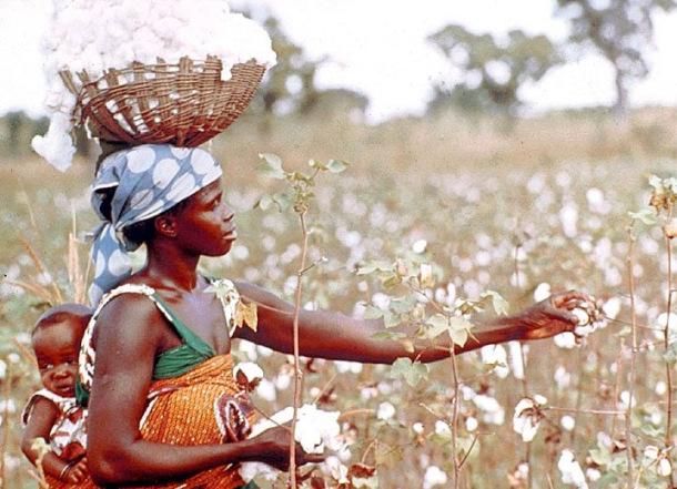 (TOF) AFRIQUE ET COTON AFRIQUE ET COTON (une maman africaine porte son bébé sur le dos)