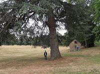 MINIMAL MANIAC #4 MINIMAL MANIAC #4