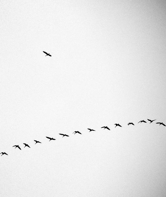 MINIMAL MANIAC #4 DSC03693