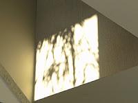 MINIMAL MANIAC #4 MINIMAL MANIAC #4