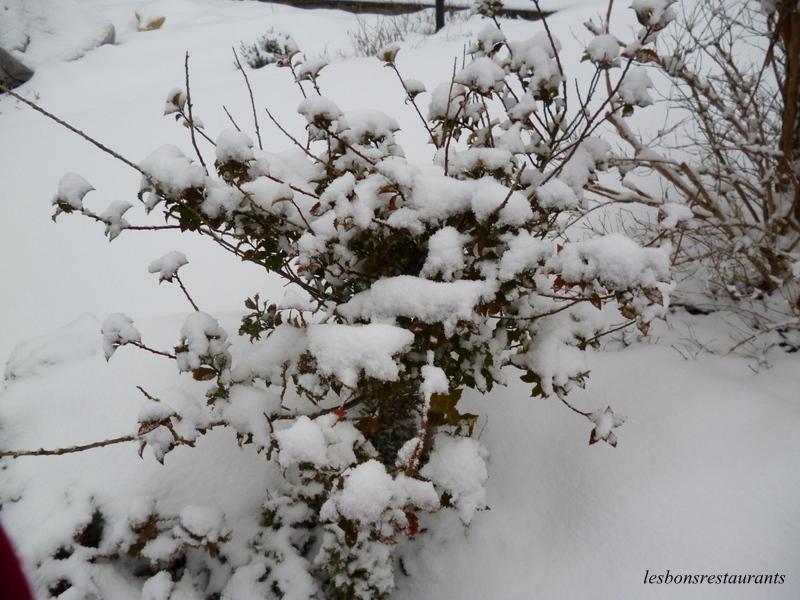 LORRAINE-La Neige à Perte de Vue LORRAINE-La Neige à Perte de Vue
