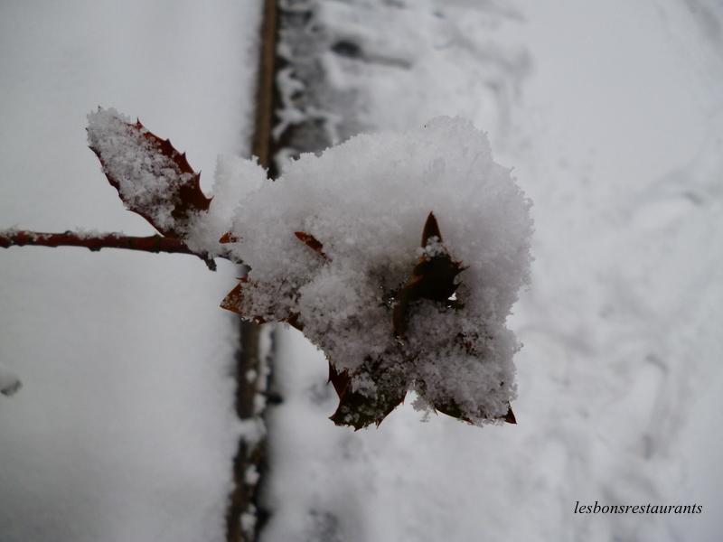 LORRAINE-La Neige à Perte de Vue LORRAINE-La Neige à Perte de Vue