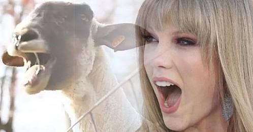 Taylor-Swift--Goat-Edition--of--I-knew-you-were-trouble--vi
