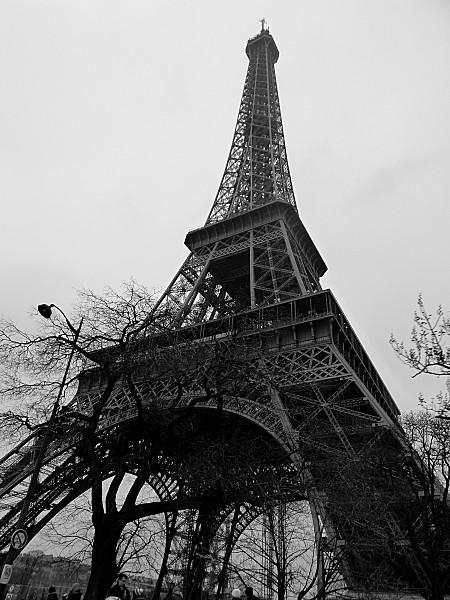 SALON INTERNATIONAL DE L'AGRICULTURE 2013 P1030952-002