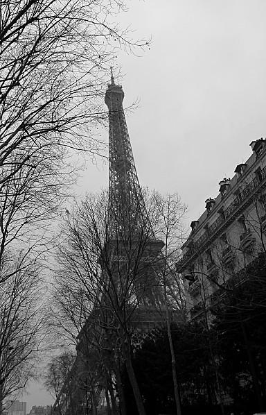 SALON INTERNATIONAL DE L'AGRICULTURE 2013 P1030955-001-copie-1