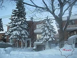 Montréal - Canada - 7 la-neige-du-27.12.2012 0030 1