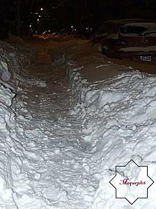 Montréal - Canada - 7 DSCF0371 1