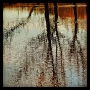 Perséphone s’impatiente. Et nous aussi ! 38e94c6e7f9c11e28b9422000a1f8af5_6