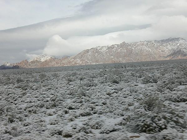 Long Beach J-5 CIMG0015.JPG