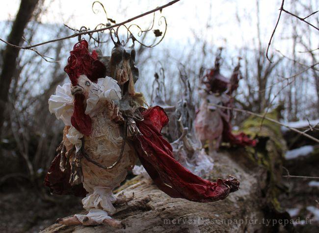 Carrosse-coq9 Carrosse-coq9