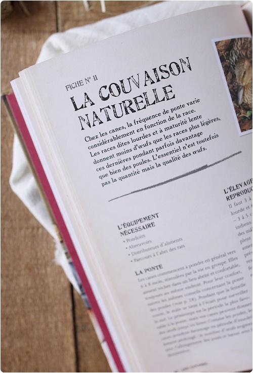 Avis Oeufs et volailles Du poulailler à la cocotte et 2 exemplaires à gagner Avis Oeufs et volailles Du poulailler à la cocotte et 2 exemplaires à gagner