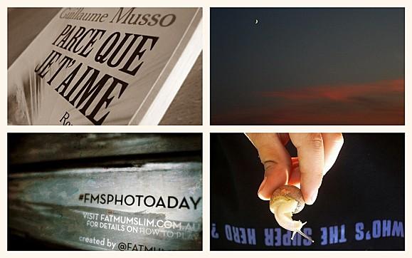 #fmsphotoaday February : Février en Photos FMS PHOTO A DAY FEVRIER (10)