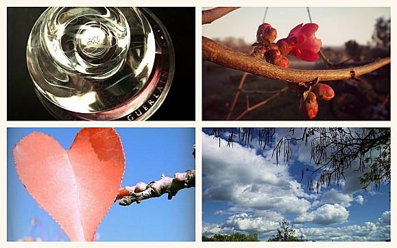 #fmsphotoaday February : Février en Photos FMS PHOTO A DAY FEVRIER (9)