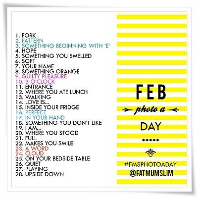 #fmsphotoaday February : Février en Photos February-photo-a-day FEVRIER 2013