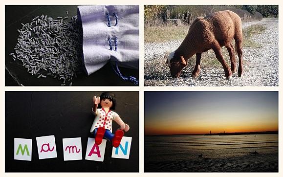 #fmsphotoaday February : Février en Photos FMS PHOTO A DAY FEVRIER (5)