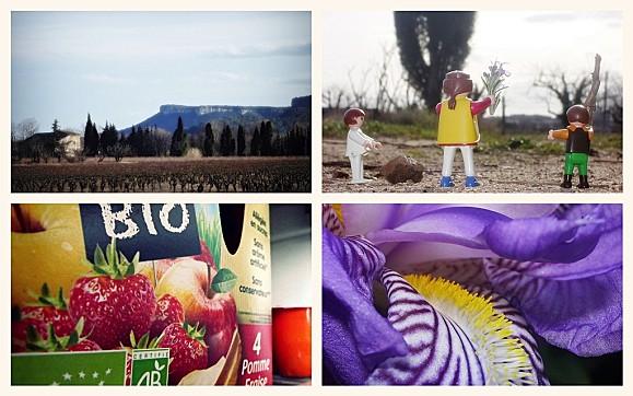 #fmsphotoaday February : Février en Photos FMS PHOTO A DAY FEVRIER (7)