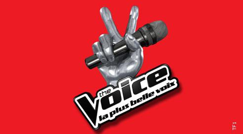 Programme télé du 2 Mars 2013 : The Voice ce soir sur TF1 The Voice sur TF1