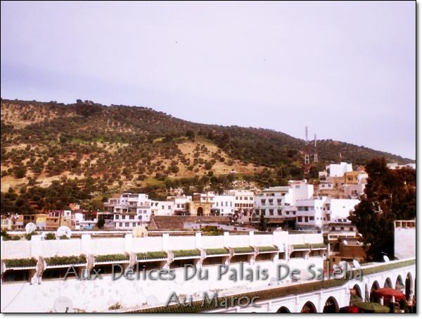 Je suis de retour du Maroc!!! Voyage-au-MarocP1020165.JPG