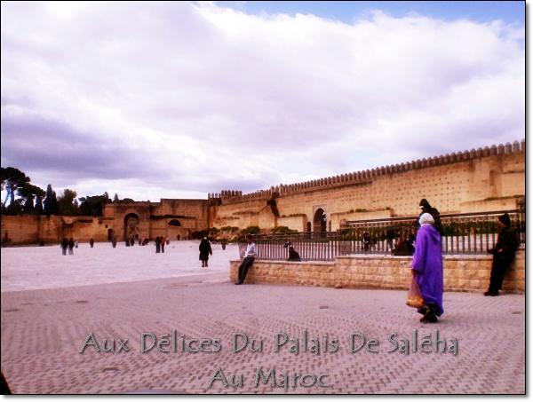 Je suis de retour du Maroc!!! Voyage-au-MarocP1010305.JPG