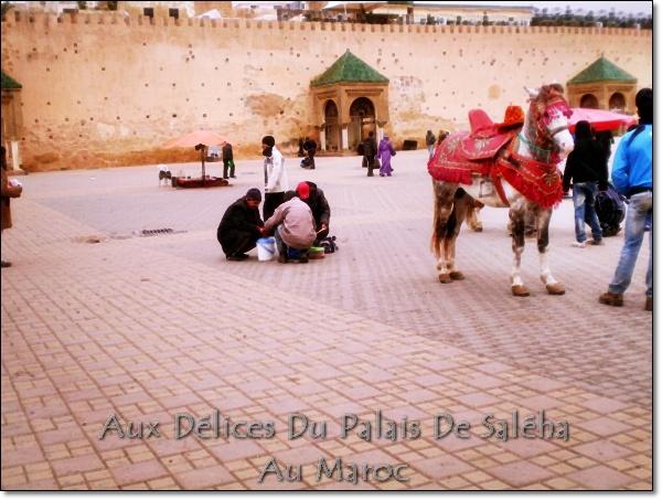 Je suis de retour du Maroc!!! Voyage-au-MarocP1050273.JPG