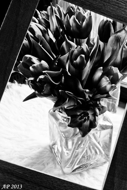 Cadre / Frame Framed Tulips
