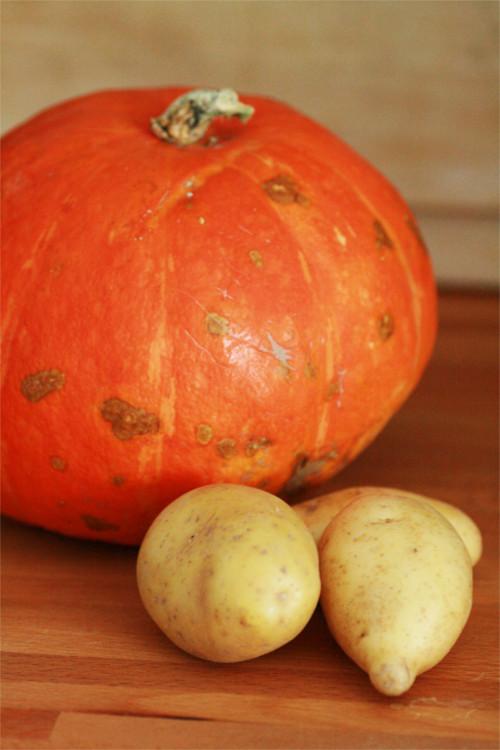 Brandatier de potimaron {Recette The Zone} potimaron et pomme de terre