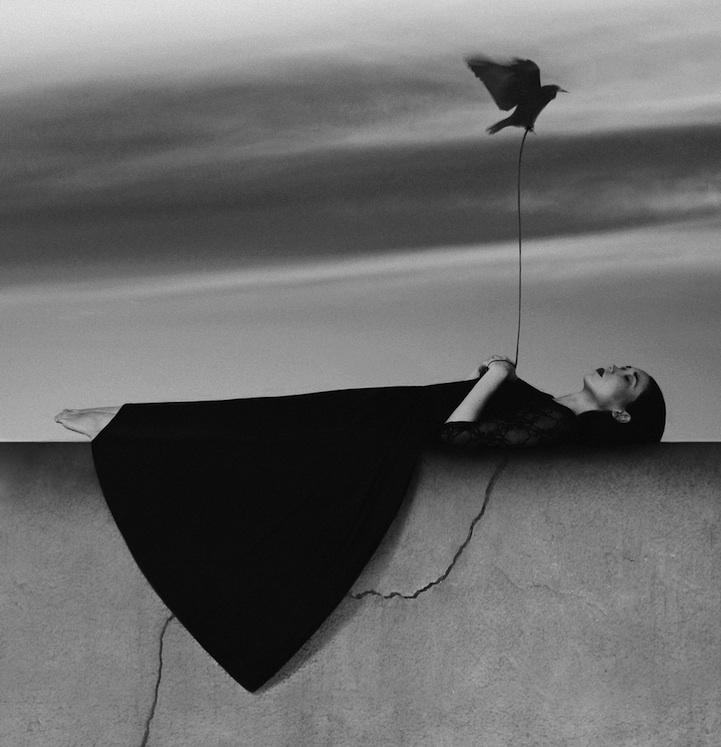 NOELL S. OSZVALD : 22 ANS ET DÉJÀ UN IMMENSE TALENT bird