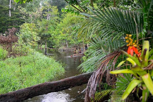 En Amazonie, un enfant par femme ? Blog de domguyanais : JOURNAL DE L'AMAZONIE EN EVOLUTION, En Amazonie, un enfant par femme ?