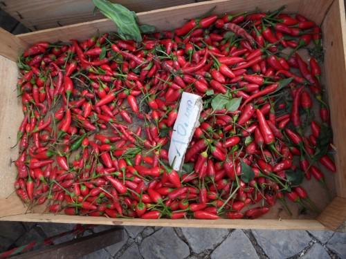 Les couleurs du Portugal SAM_3220.JPG