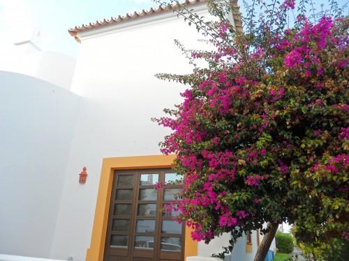 Les couleurs du Portugal SAM_3291.JPG