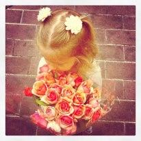 Harmonie Harmonie