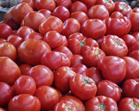 tomates_roumanie_3