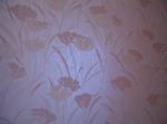 Un salon tout beau tout neuf 532112825.JPG
