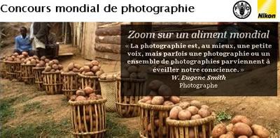 Année internationale de la pomme de terre 2008