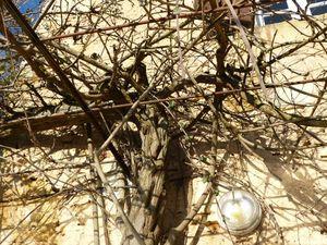 Coup de vent d'Autan, c'est la tempête ! calfourmars2013 016