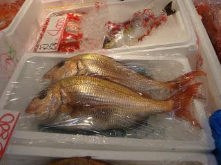 Tokyo : Marché aux poissons de Tsukiji