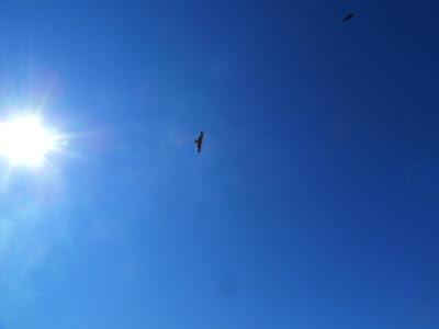 Le Chant de l'artisan Le Chant de l'artisan