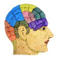 Cartes éponges par Jeffrey Allen Price Cartes éponges par Jeffrey Allen Price