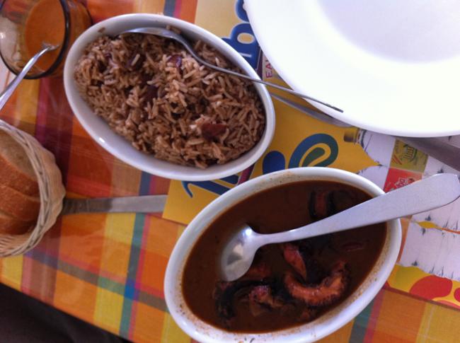 chatrous Le retour aux Antilles (2) : pratique