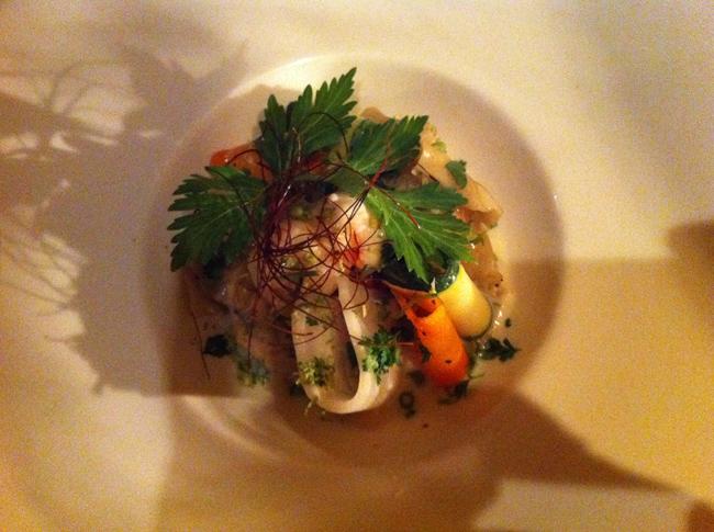 iguane Le retour aux Antilles (2) : pratique