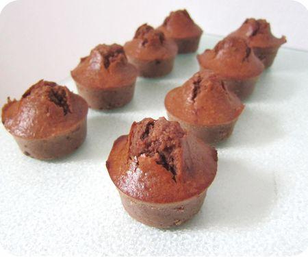 Muffins chocolatés au son d'avoine muffins choco son (scrap3)