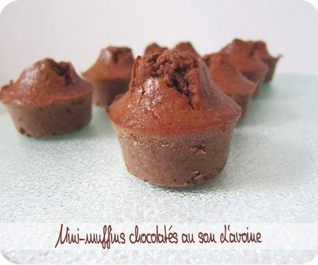 Muffins chocolatés au son d'avoine muffins choco son (scrap2)