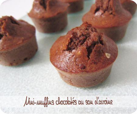 Muffins chocolatés au son d'avoine muffins choco son (scrap1)