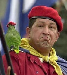 Crime de lèse-Chavez yartiChavez201302